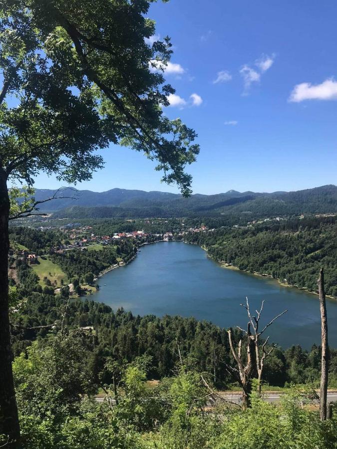 Apartman Patricia Διαμέρισμα Fužine Εξωτερικό φωτογραφία