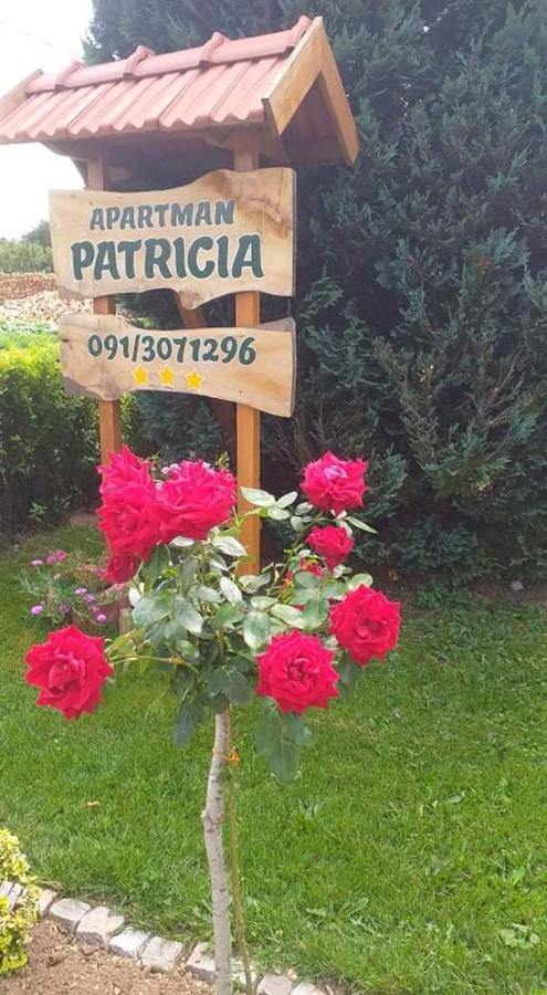 Apartman Patricia Διαμέρισμα Fužine Εξωτερικό φωτογραφία